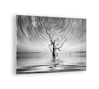 Quadro su Vetro 70x50cm In bianco e nero albero lago Stampe Moderni Murale