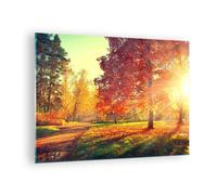 Quadro su Vetro 70x50cm parco autunno albero Stampe Immagini Moderni Murale