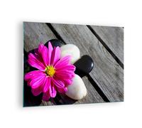 Quadro su Vetro 70x50cm Pietra fiore petali crisantemo Stampe Moderni Murale