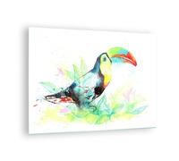 Quadro su Vetro 70x50cm Uccello Tucano la curiosità selvaggio Stampe Murale