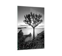Quadro su Vetro 80x120cm Albero Bianco E Nero Vista Stampe Moderni Murale