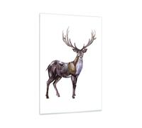 Quadro su Vetro 80x120cm Caro animale selvatico foresta Stampe Moderni Murale