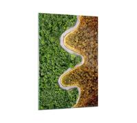Quadro su Vetro 80x120cm Fotografia aerea modo foresta Stampe Moderni Murale