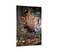 Quadro su Vetro 80x120cm Leopardo Ritratto Giaguaro Stampe Moderni Murale