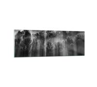 Quadro su Vetro 90x30cm Alberi Dentro Nebbia Stampe Immagini Moderni Murale