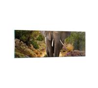 Quadro su Vetro 90x30cm Animali Africa elefante camminare Stampe Moderni Murale