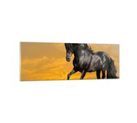 Quadro su Vetro 90x30cm Animali cavallo correndo prato Stampe Moderni Murale