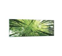Quadro su Vetro 90x30cm Bambù giungla verde Stampe Immagini Moderni Murale