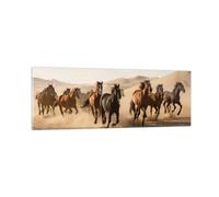 Quadro su Vetro 90x30cm Cavalli Deserto Dune Stampe Immagini Moderni Murale