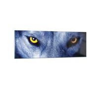 Quadro su Vetro 90x30cm Guarda il lupo gli occhi Stampe Immagini Moderni Murale