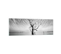 Quadro su Vetro 90x30cm In bianco e nero albero lago Stampe Moderni Murale