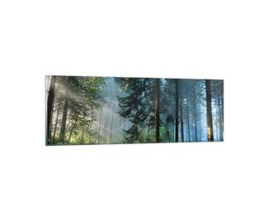 Quadro su Vetro 90x30cm La foresta l'alba il sole Stampe Immagini Moderni Murale