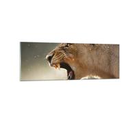 Quadro su Vetro 90x30cm Leone Leonessa Zanne Stampe Immagini Moderni Murale