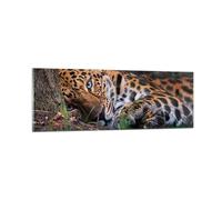 Quadro su Vetro 90x30cm Leopardo Ritratto Giaguaro Stampe Moderni Murale