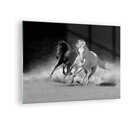 Quadro su Vetro 70x50cm Andaluso Cavalli Galoppo Stampe Immagini Moderni Murale