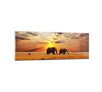 Quadro su Vetro Elefanti Safari giungla cespuglio Stampe da Parete in Vetro 90x30cm Quadri Moderni Soggiorno Camera da Letto Cucina 1 pezzo Piccoli Decorazione Murale Wall Art Immagini GAB90x30-3150