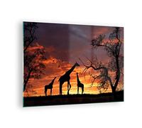 Quadro su Vetro Giraffa Africa Sole Safari Stampe da Parete in Vetro 70x50cm Quadri Moderni Soggiorno Camera da Letto Cucina 1 pezzo Piccoli Decorazione Murale Wall Art Grafica Immagini GAA70x50-0507