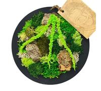 Quadro Tondo di Muschio e Licheni Stabilizzati Vero diametro 20 cm "Velia in Fiore", Con cornice in Legno, decorazione da parete naturale per la casa o ufficio
