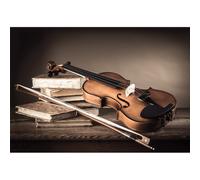 Quadro VIOLINO E ARCHETTO G2930 PINTDECOR