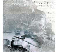 Quadro VIOLINO G2958 PINTDECOR