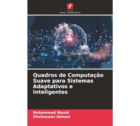 Quadros de Computação Suave para Sistemas Adaptativos e Inteligentes