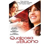 Qualcosa di Buono (DVD) (DVD) Hilary Swank Emmy Rossum Josh Duhamel