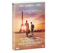 Dvd Qualcosa Di Meraviglioso