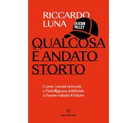 QUALCOSA E' ANDATO STORTO - LUNA RICCARDO - Solferino