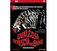 Qualcosa Striscia Nel Buio