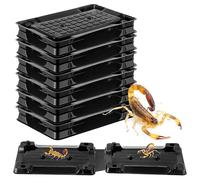 Qualirey 6 trappole adesive per scorpioni, per interni, sicure per animali domestici e bambini, repellente per scorpioni, trappole per insetti da interni, per cantina, bagni e garage