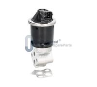 QualityTested EGRW00JM Valvola ricircolo gas scarico-EGR