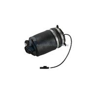 QualityTested MQ-AS146 Molla pneumatica, Autotelaio