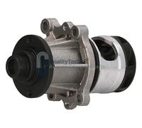 QualityTested PQ0100JM Pompa acqua