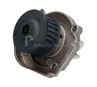 QualityTested PQ0206JM Pompa acqua
