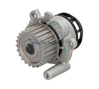 QualityTested PQ0908JM Pompa acqua