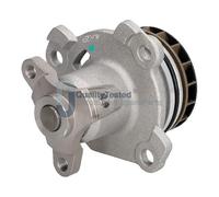 QualityTested PQ153JM Pompa acqua