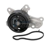 QualityTested PQ2006JM Pompa acqua