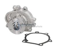 QualityTested PQ232JM Pompa acqua