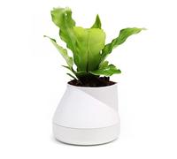 QUALY Oasis Hill QLX20001-WH - Vaso da fiori con sistema di auto-irrigazione, colore: Bianco, S