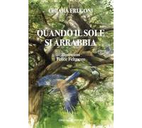 Quando il sole si arrabbia. Ediz. illustrata