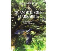 Quando il sole si arrabbia. Ediz. illustrata