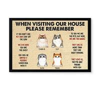 Quando Visiti La Mia Casa, Ricorda: Gatto Personalizzato Tappetino Da Bagno Antisporco Tappeto Ingresso Casa Facile Da Pulire Tappeti D'Ingresso Per Balcone Terrazzo Interno 40X60Cm