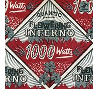 Quantic Presenta Flo - 1000 Watts