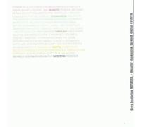 Quantik Shamanism Thru Digital Western