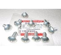 Quantità 10 - Viti cerniera porta e portellone - OEM - Suzuki Samurai 85-95