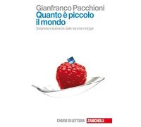 Quanto è piccolo il mondo. Sorprese e speranze dalle nanotecnologie