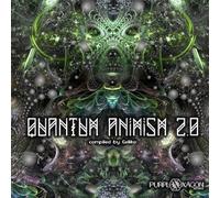 Quantum Animism 2.0 - Various Artists (Audio CD)