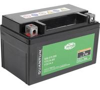 QUANTUM ENERGY 10831 Batteria
