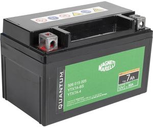 QUANTUM ENERGY 10831 Batteria