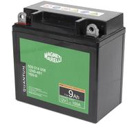 QUANTUM ENERGY Batteria